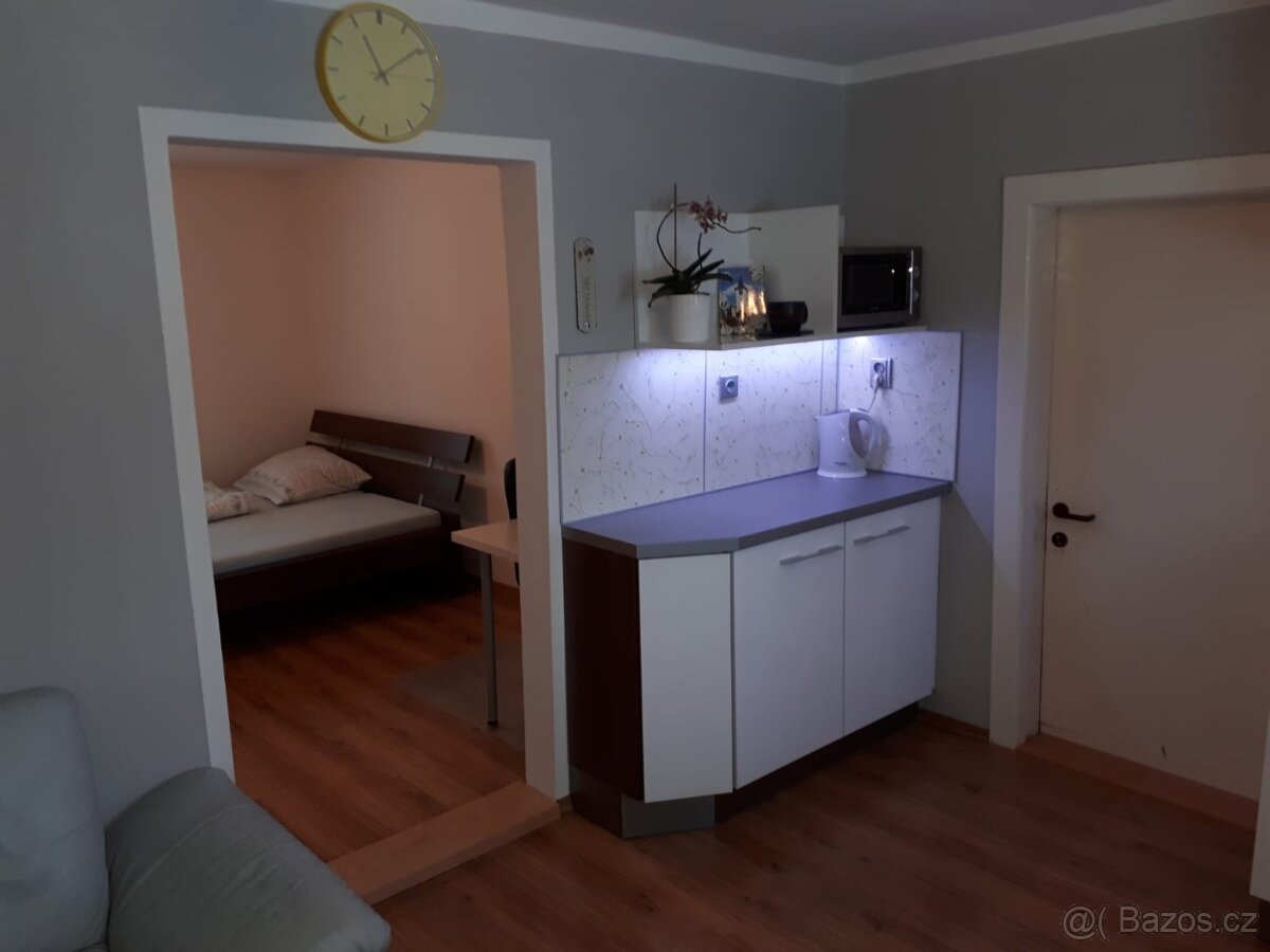 Pronajem Bytu v RD Lhotka - 2
