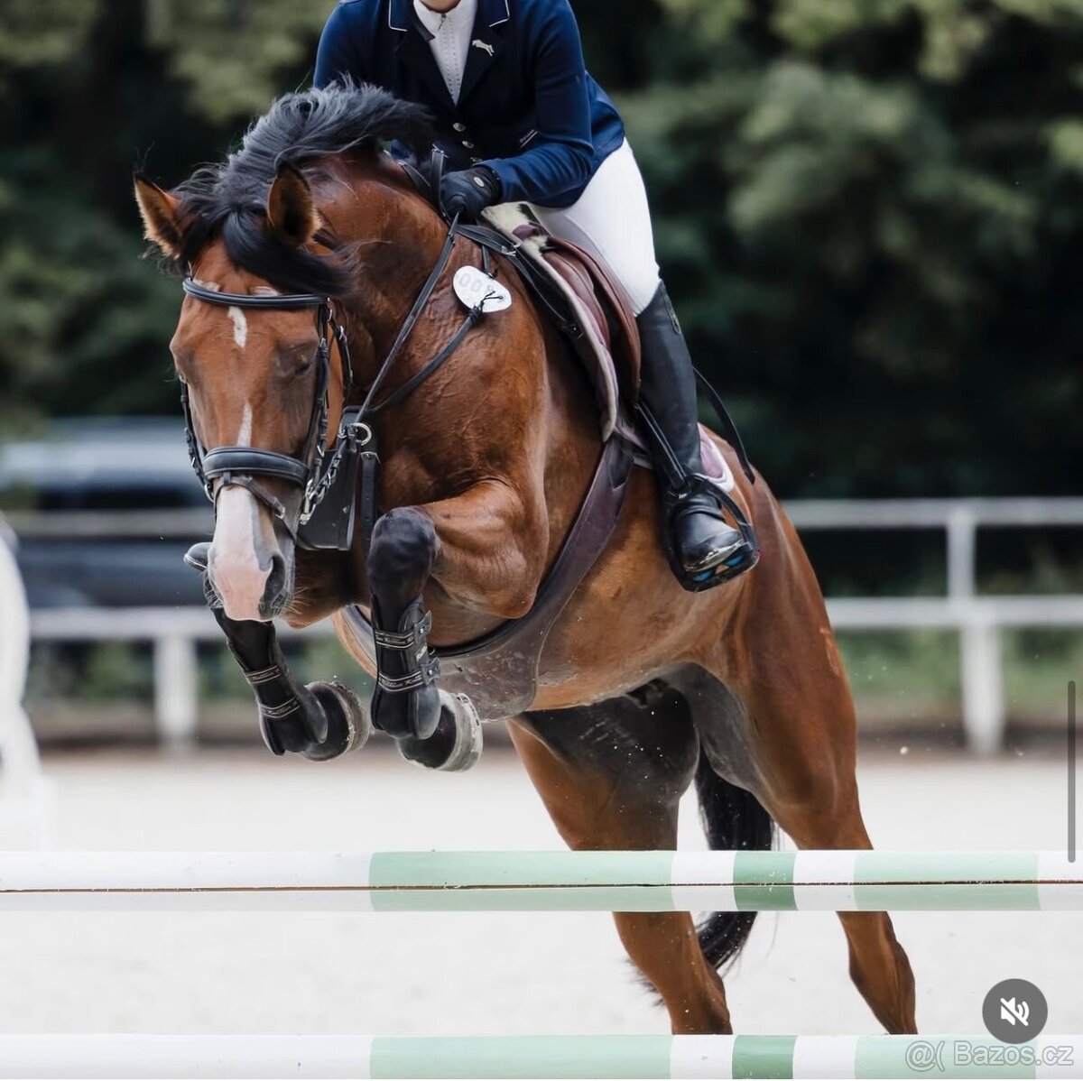 Top klisna do sportu - 2