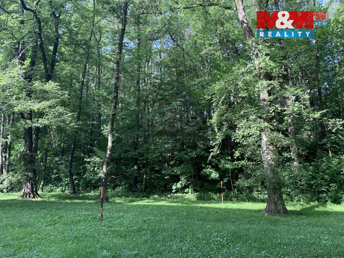 Prodej lesa, 9272 m², Třinec - 2