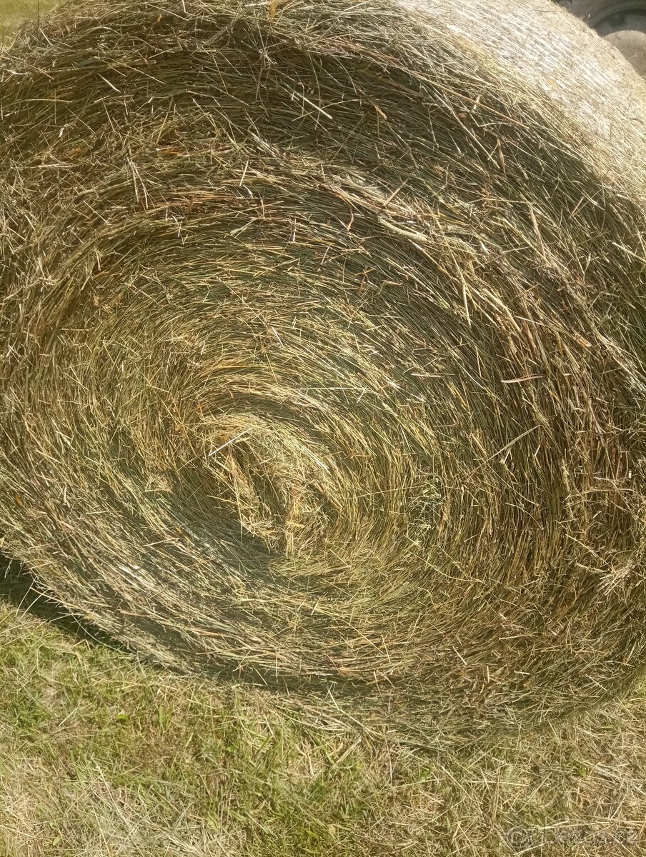 Prodám Balíky Sena - 2