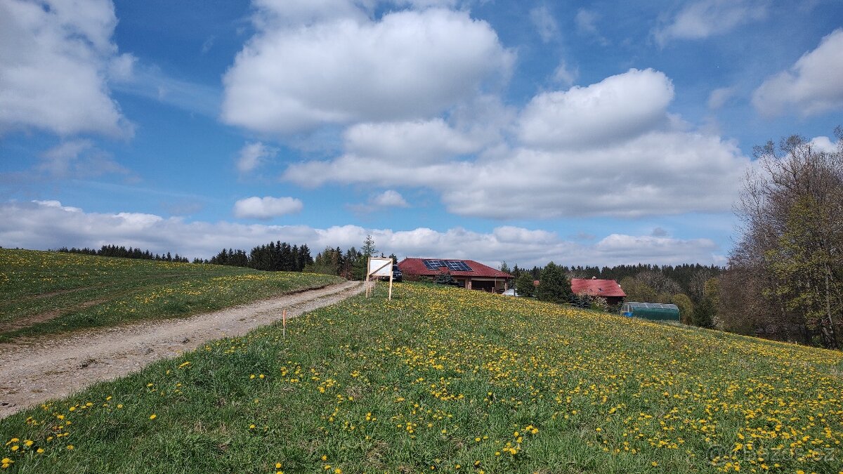 Pozemek přímo u jezera nedaleko Frymburku - 2