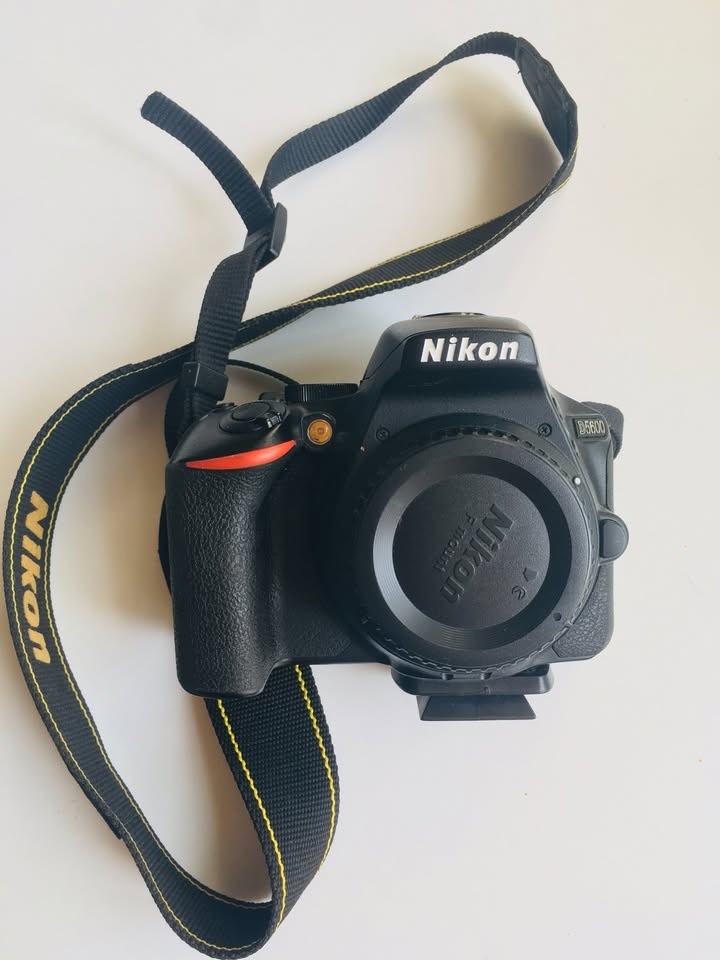 Nikon D5600 + 18-55 mm AF-P VR + 70-300 mm AF-P VR - 2