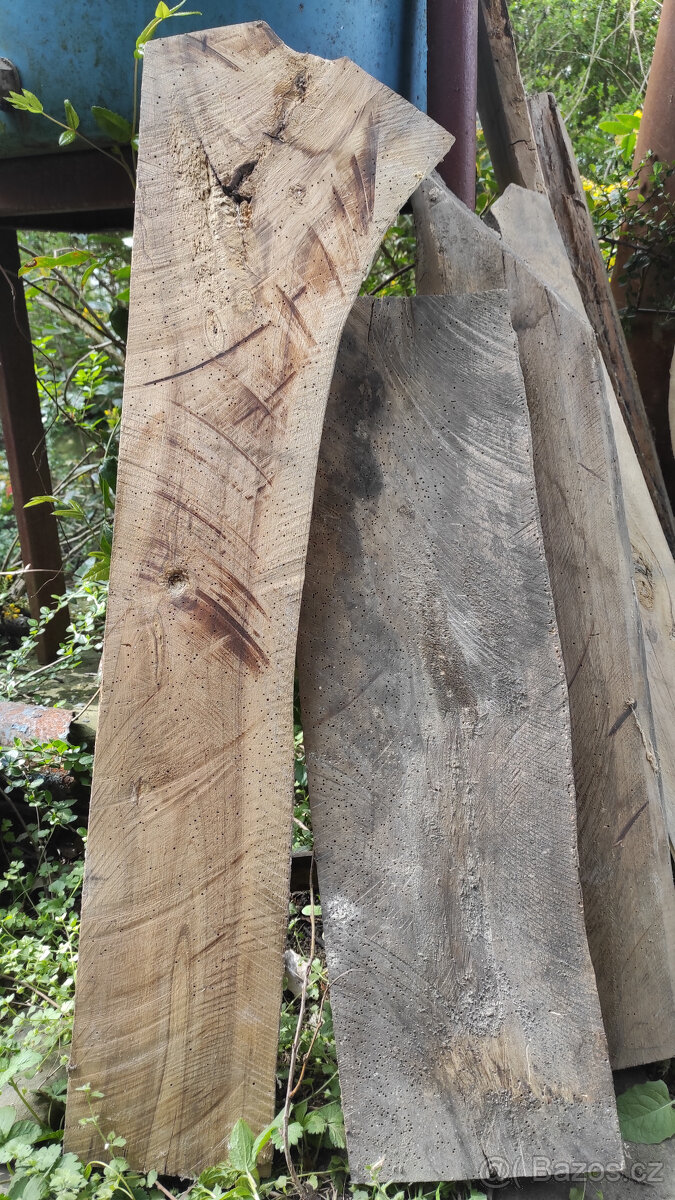 Staré suché listnaté dřevo - 2