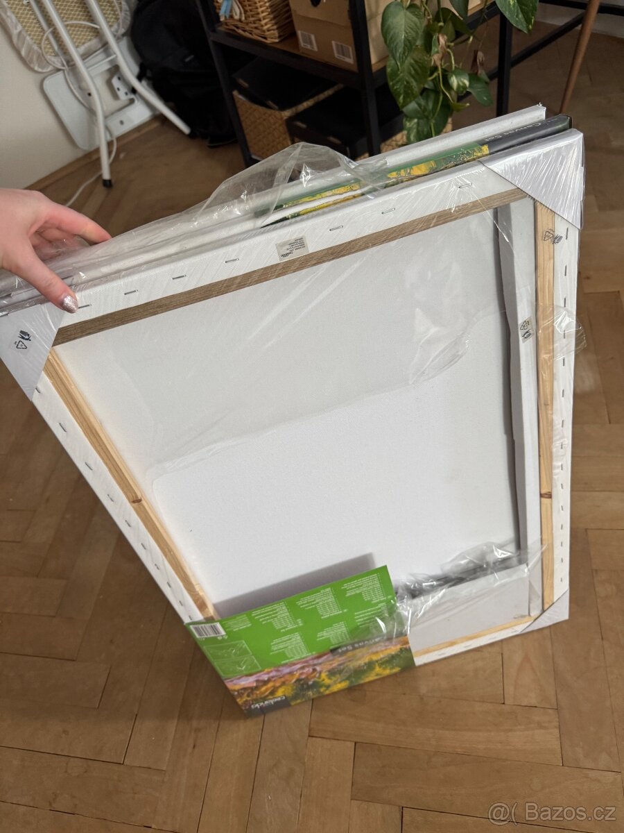 Malířské plátno canvas - 2