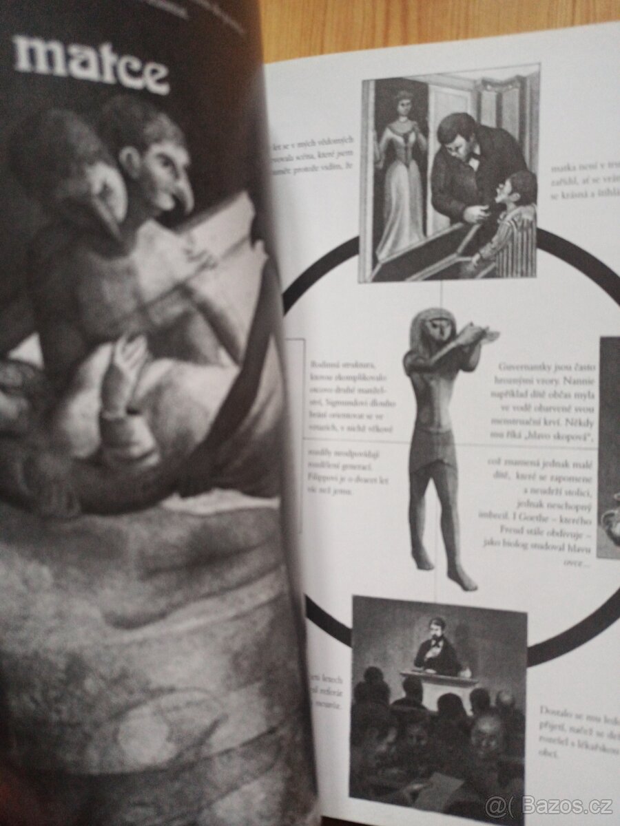 komiks Sigmund Freud Dobrodružství psychoanalýzy - 2