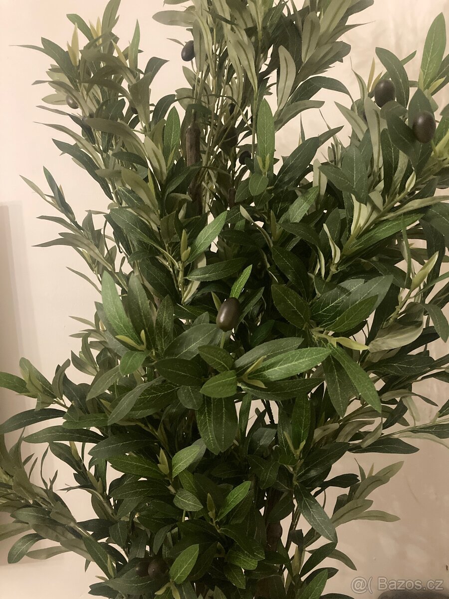 Umělý olivovnik 210 Cm - 2