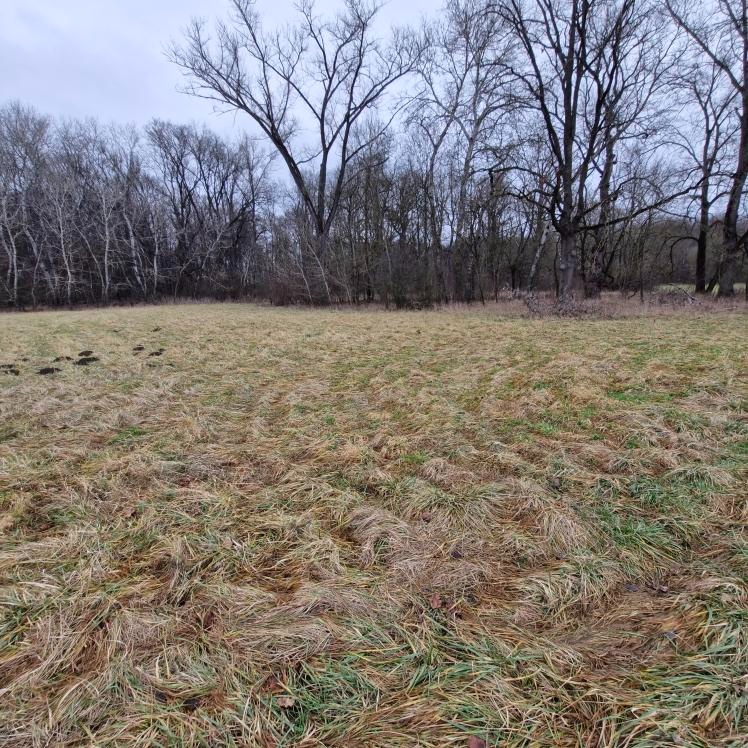 louka - Veselí nad Moravou, Milokošť - 2