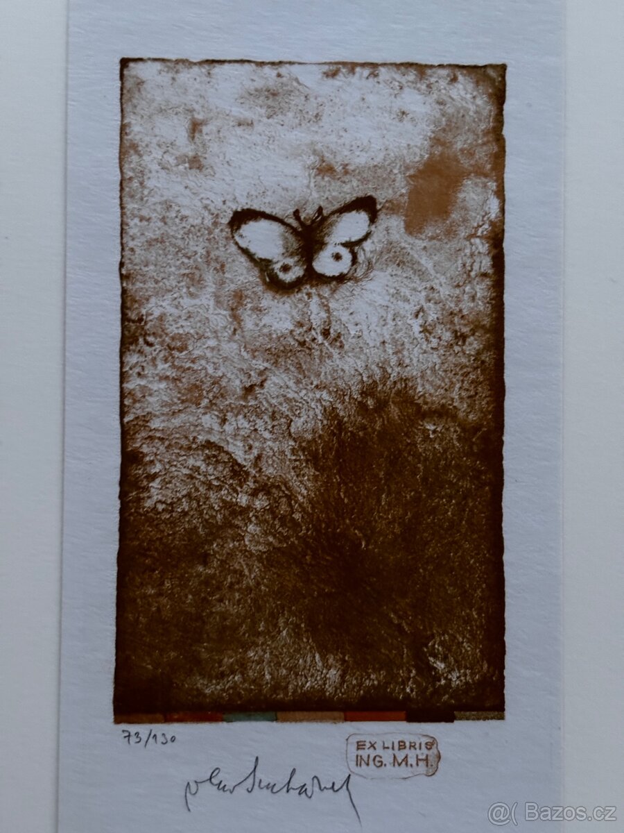 Vladimir Suchanek - exl - 2