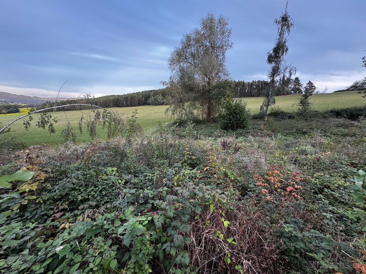 Prodej lesa 880m2 Radkovice - 2