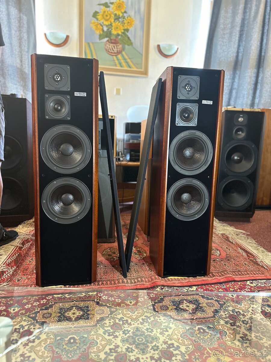 Magnat MSP 300 - 2