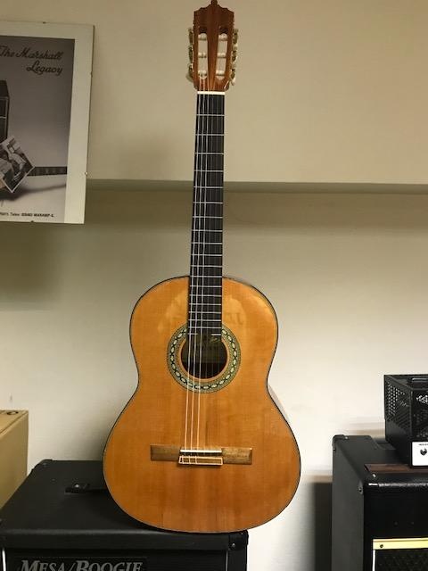 Ak/EL kytary a španělky Pablo Vitaso, ART, GEWA SRN - 2