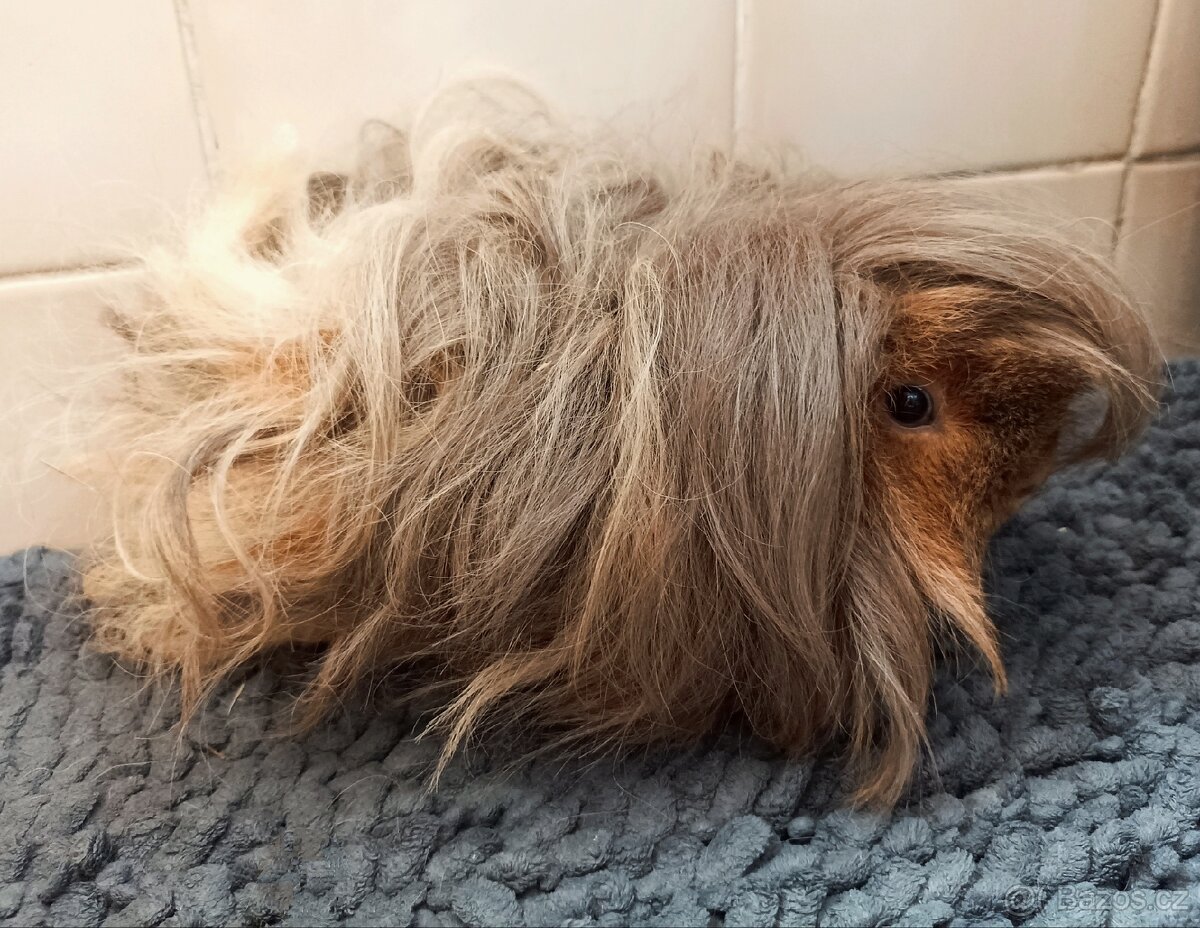 Lunkarya samička s VP - 2