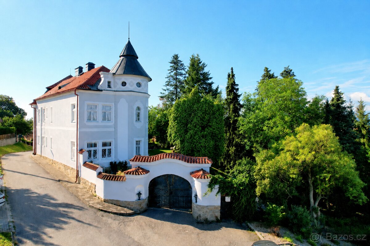 Vila, Zliv u Českých Budějovic - 2