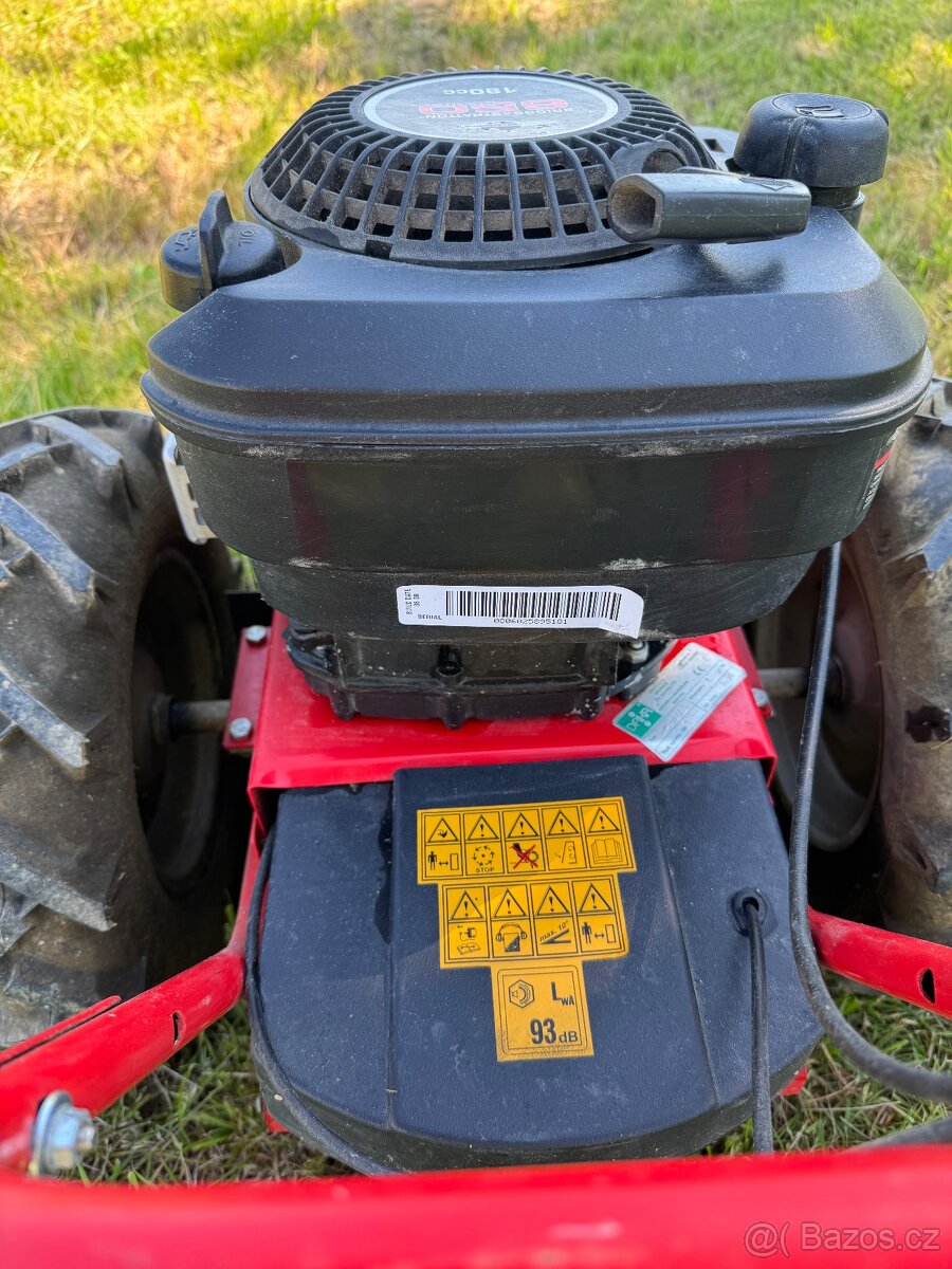 DAKR BRIGGS STRATTON 650 - 2