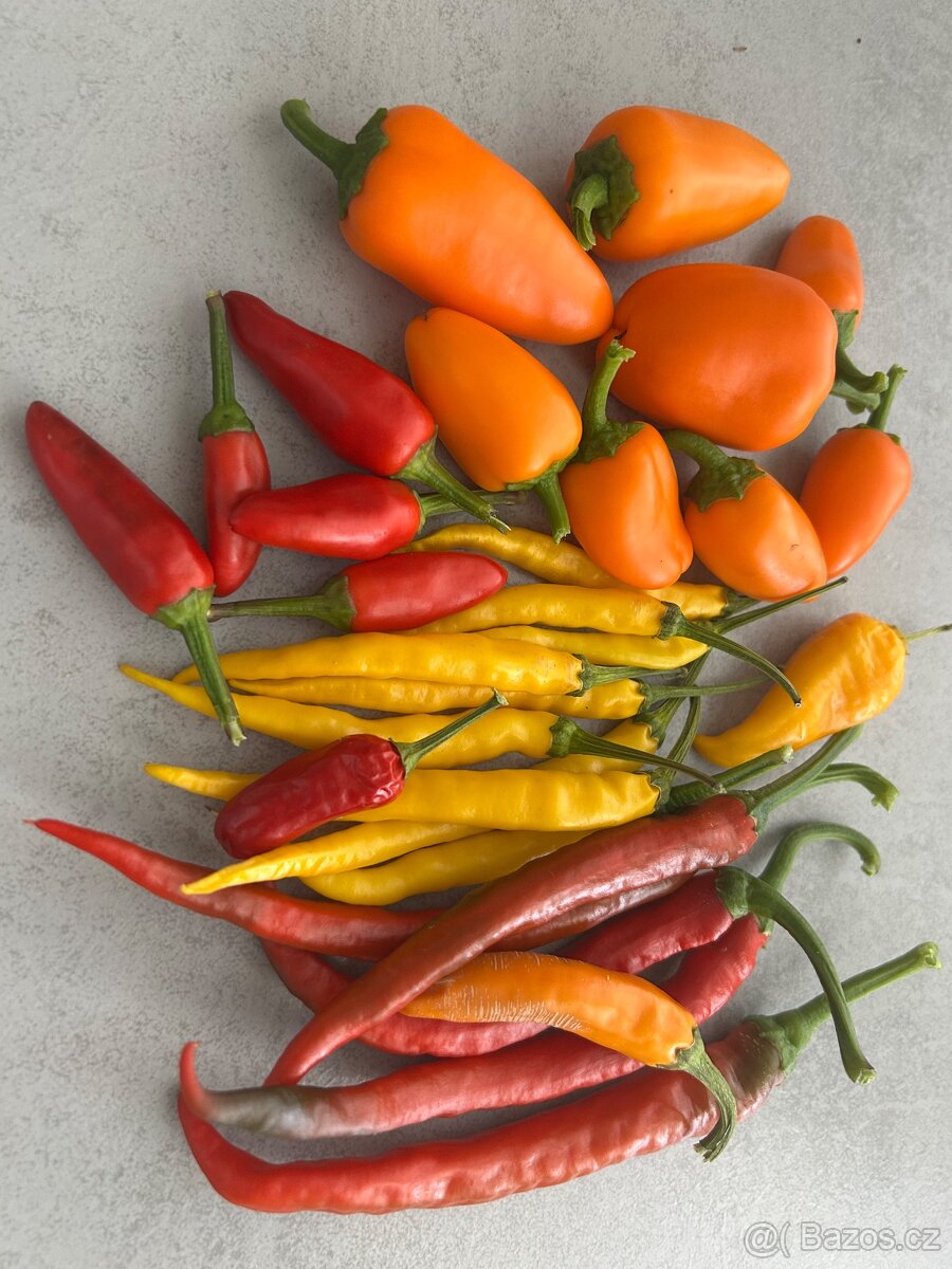 Chilli papričky nakládané - 2