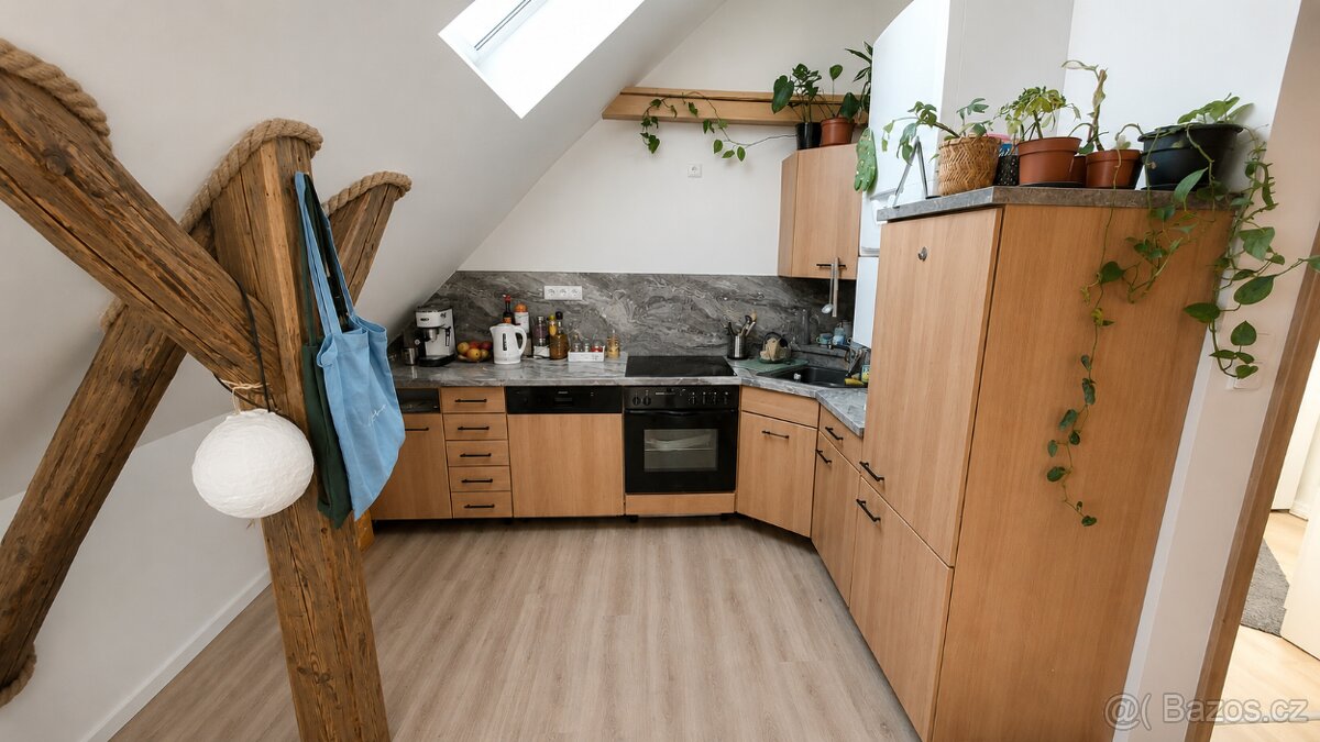 Pronájem bytu 1+kk 45 m² v ul. Tyršova – pohled 2