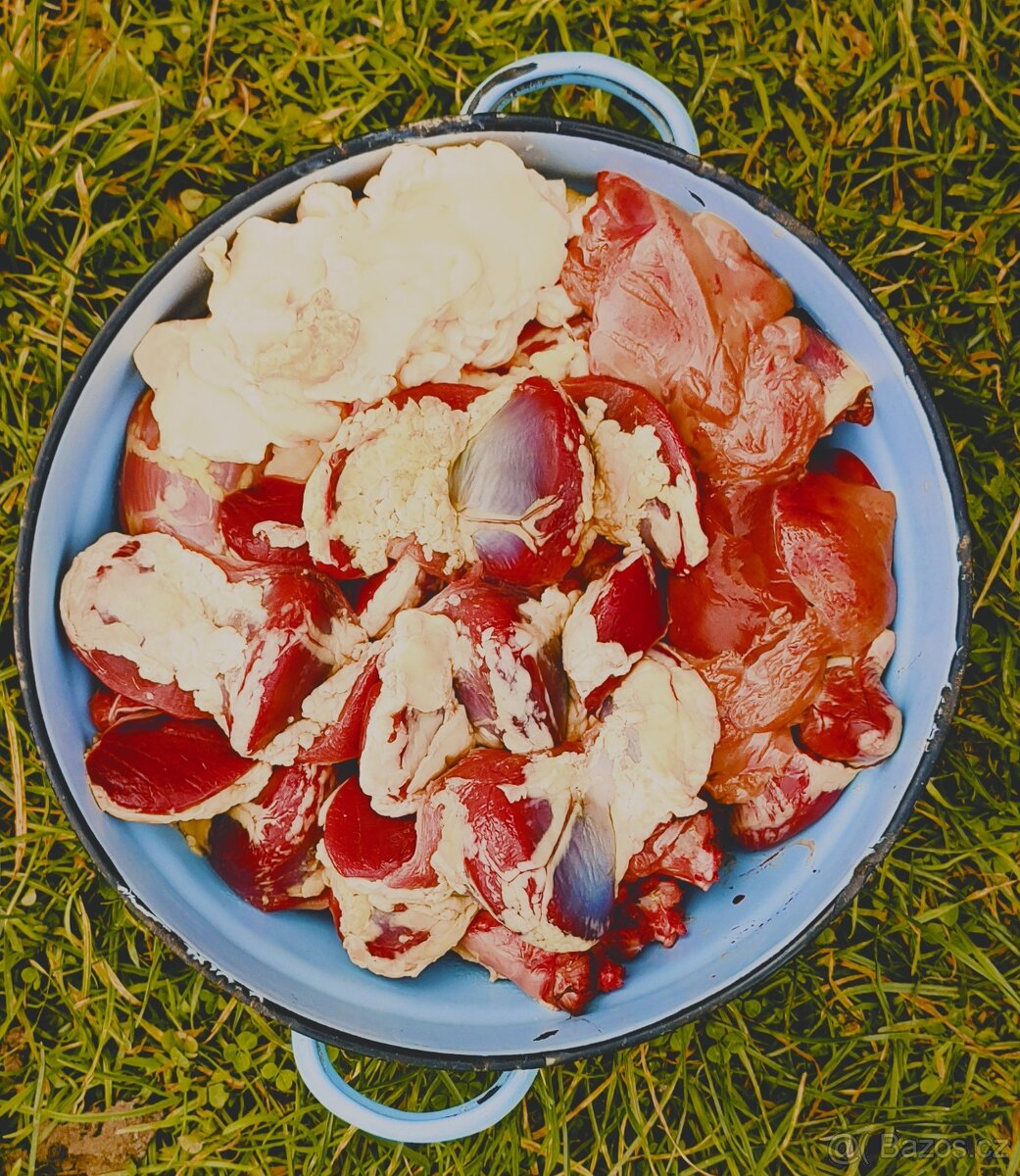 Domácí vykuchaná kachna - 2