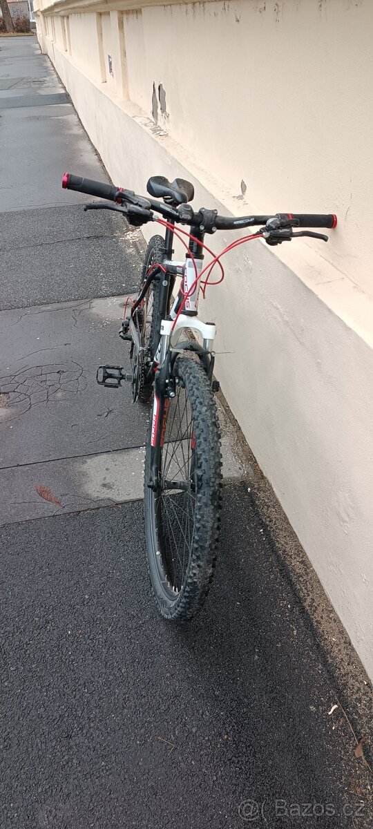 Focus raven rookie - 2