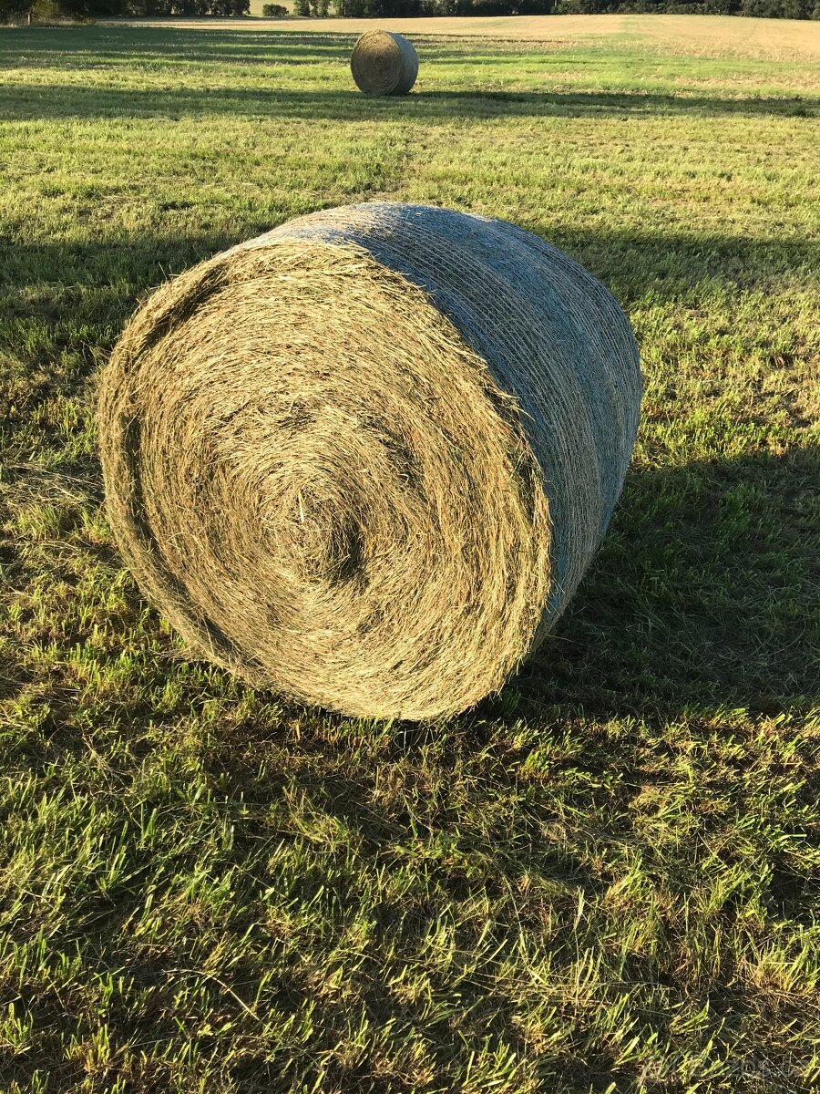 prodám seno - 2