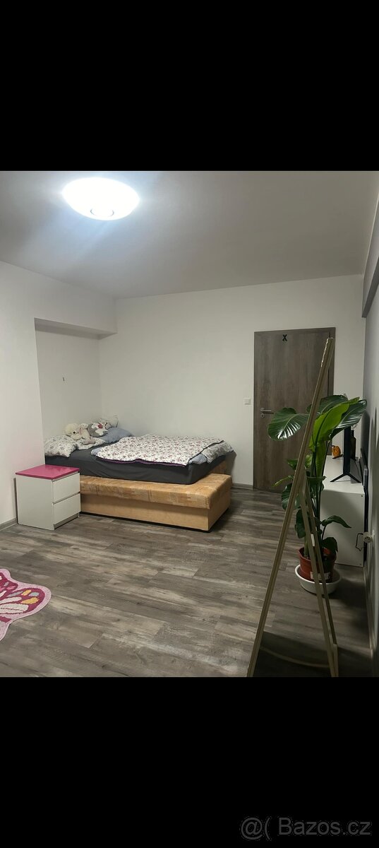 Pokoj v bytě 3+1, Brno Hrnčířska 20 - 2