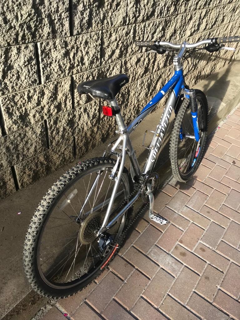 Specialized RockHopper - 2
