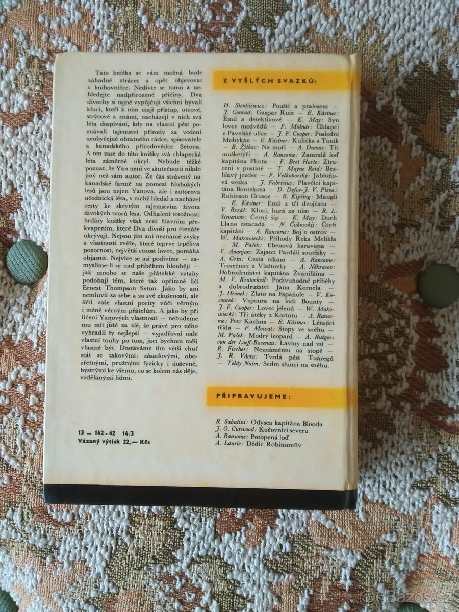 Prodám knihu Dva divoši - 2