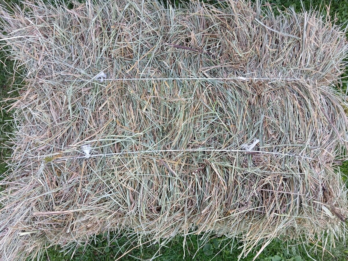 Seno malé hranaté balíky - 2