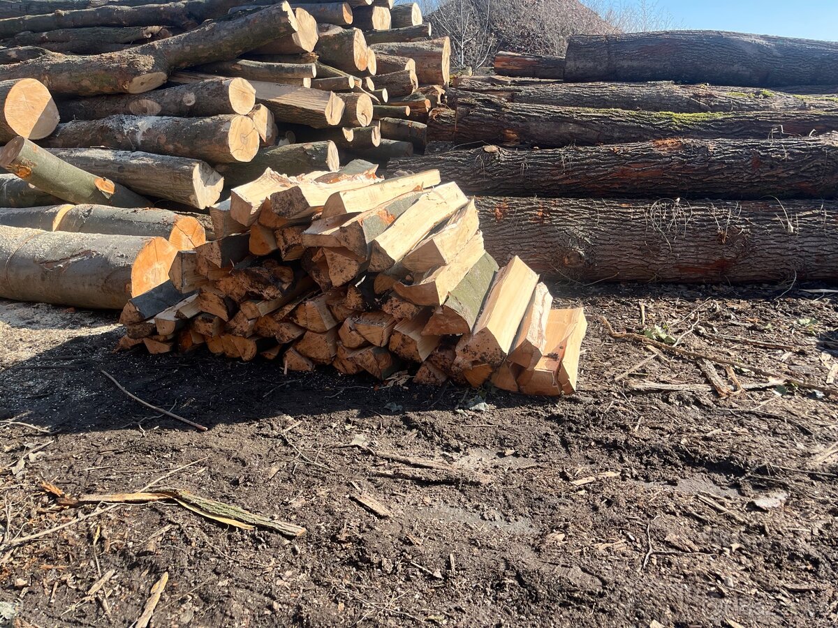 Palivo pro rok:2025 -2026 - 2