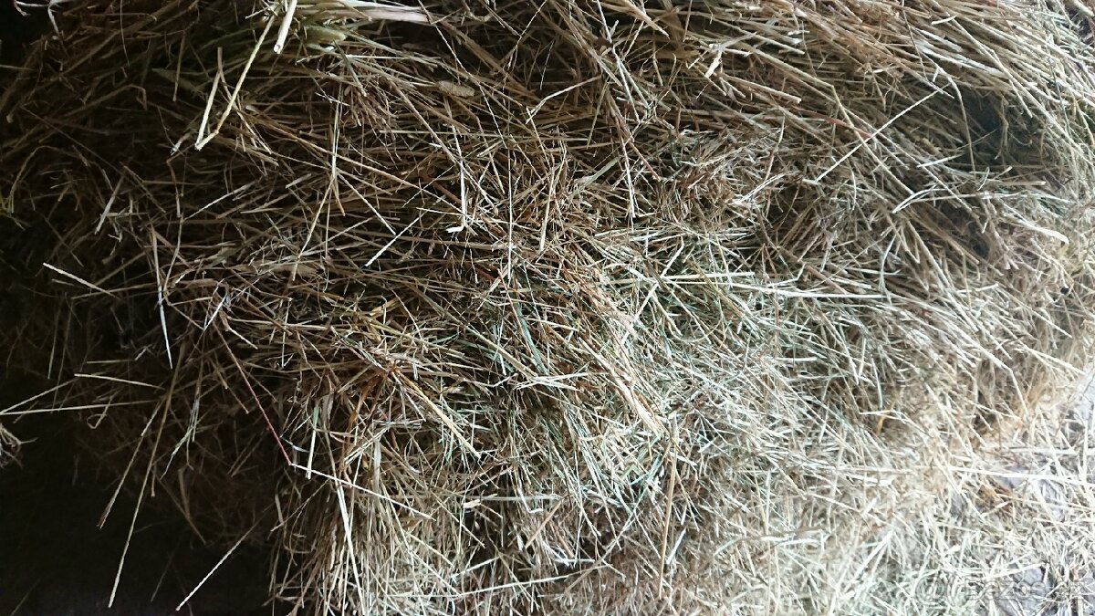 Seno 2025 balík - 2