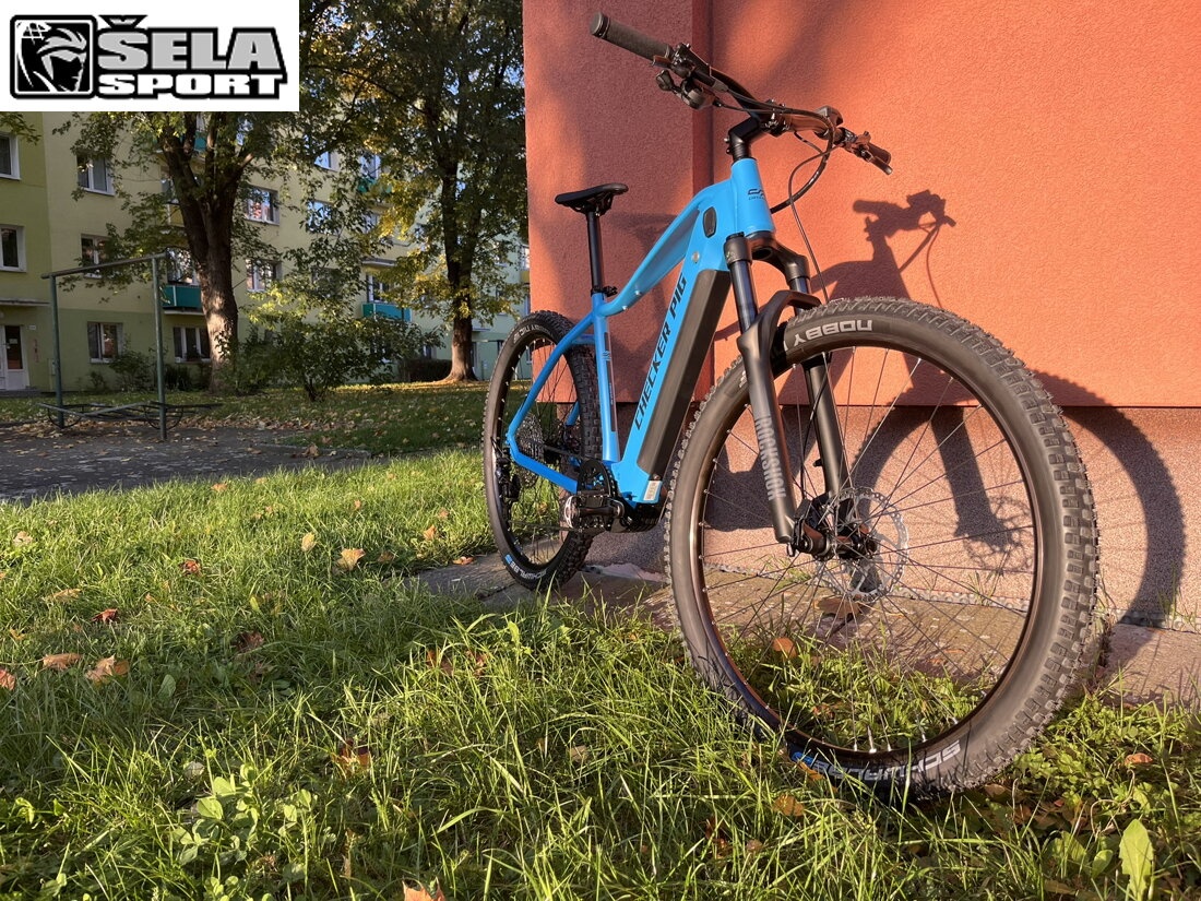 Checker Pig E-MTB ActivePig Diamant Bosch Performance 625 Wh - 2