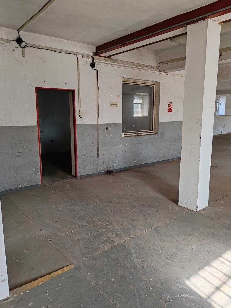 300 m2 - nebytové prostory - 2