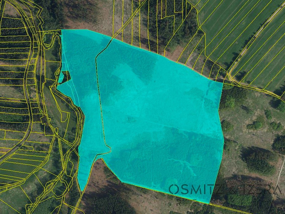 Prodej lesa 233 155 m² Žďár u Nové Včelnice - 2