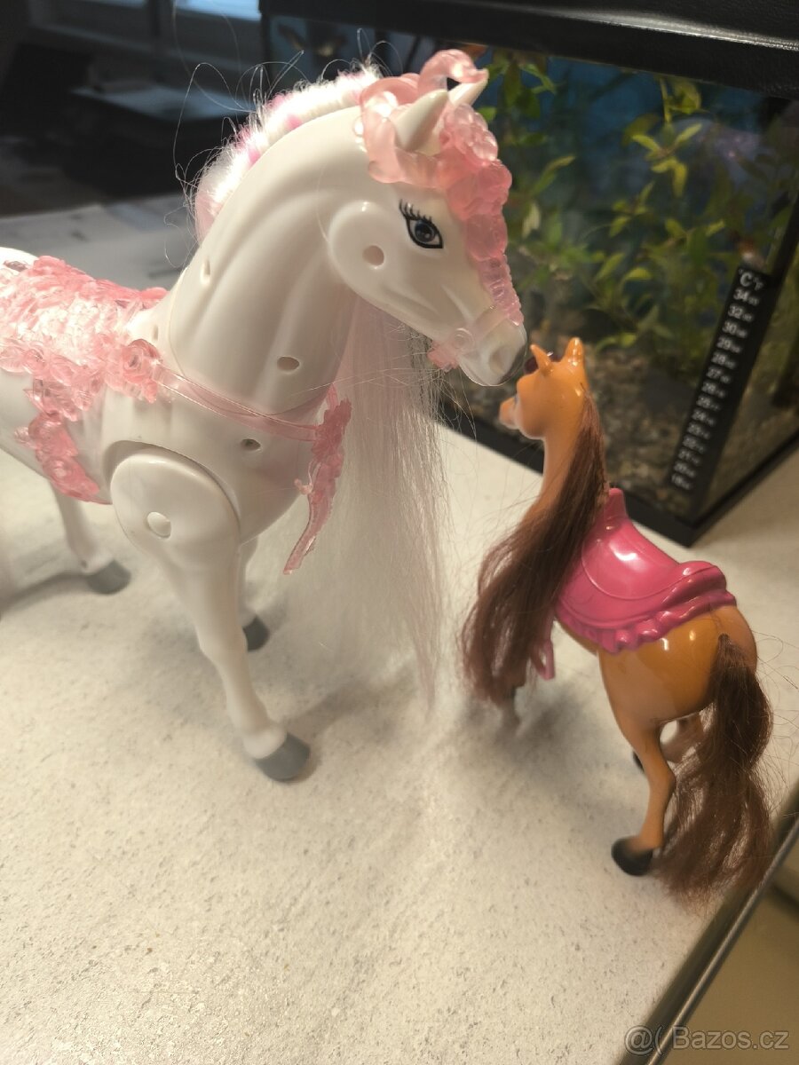 Chodící bílý kůň - 2