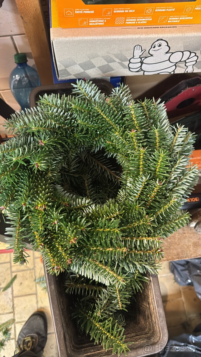 Vánoční věnce - 2