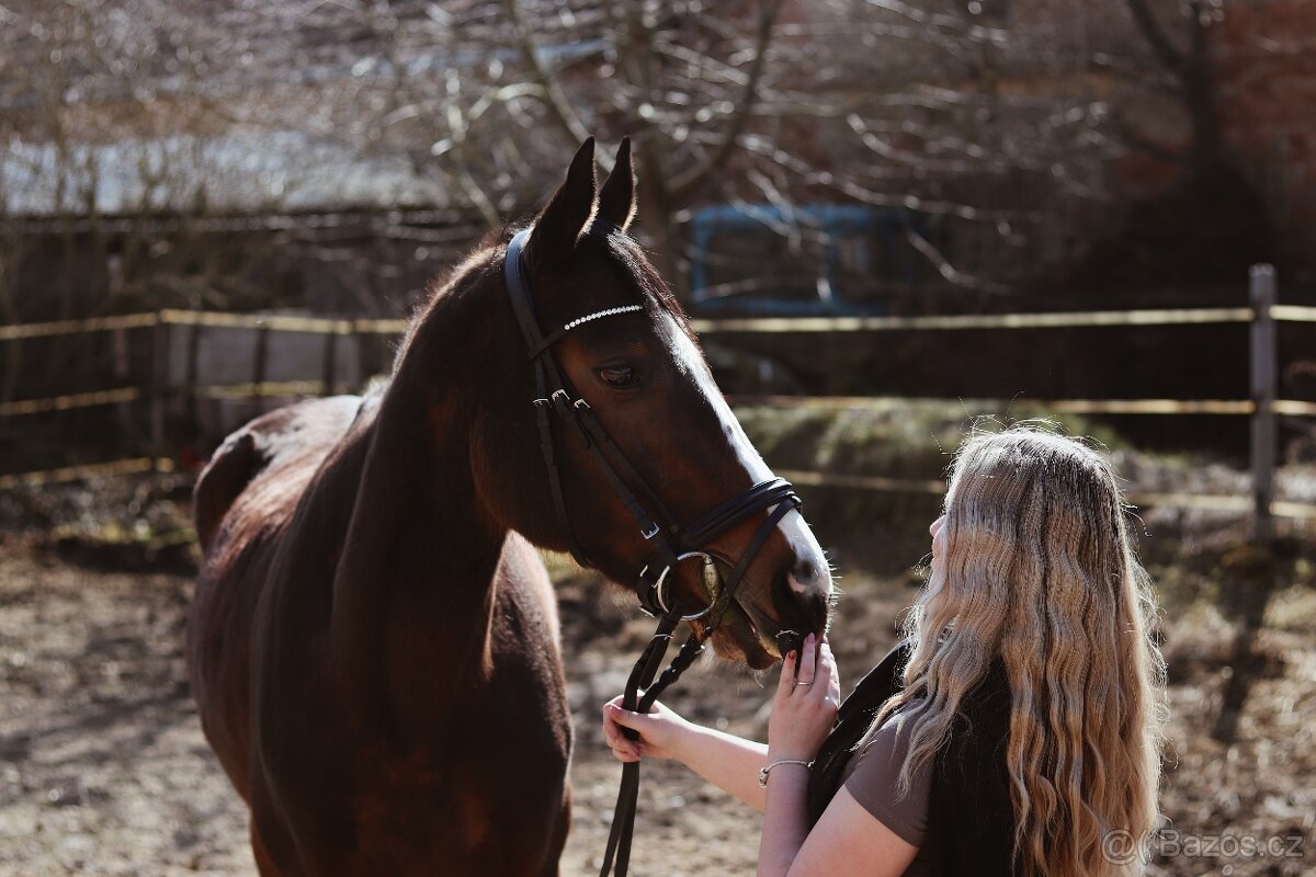 Prodám krásnou kobylku A1/1 - 2