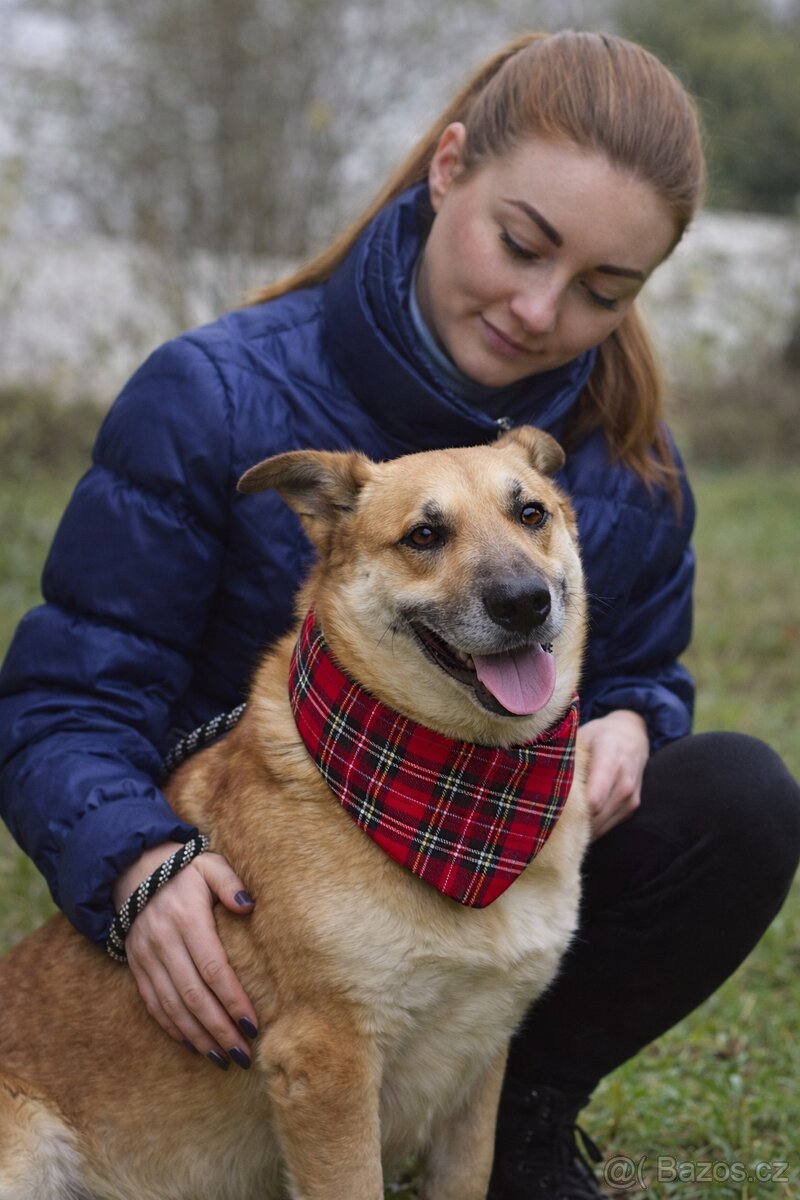 Odin hledá domov - 2