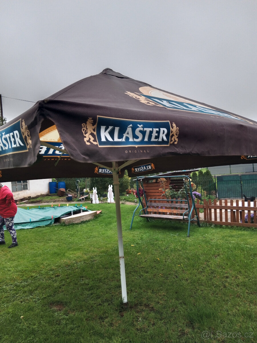 slunečník hospodský - 2