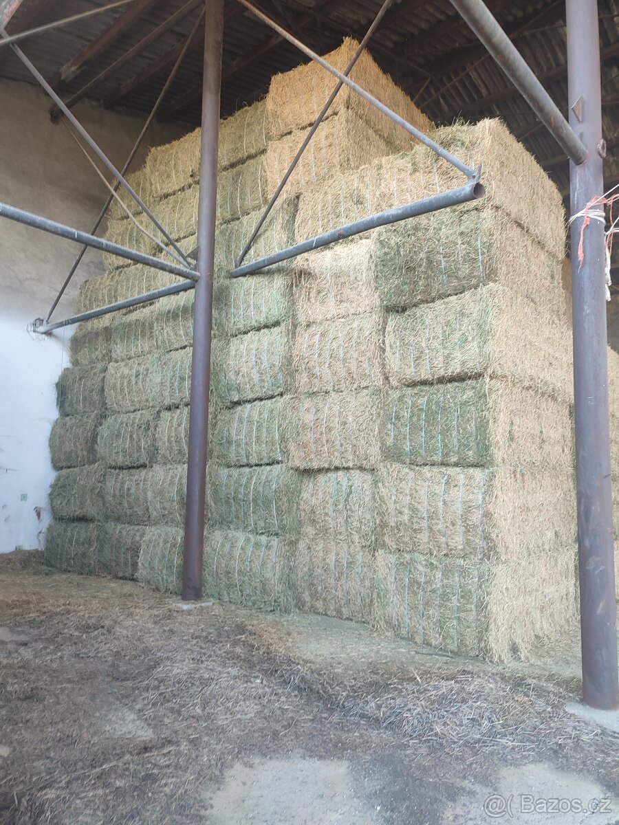 Vojtěška / Vojtěškové seno - 2