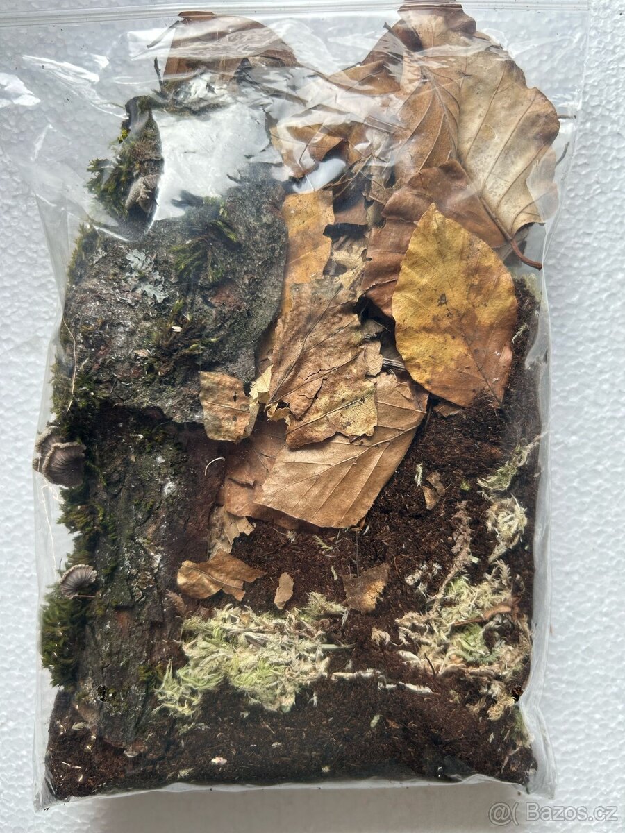 BIO substrát pro stínky/isopody/svinky - 2