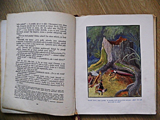 Stará kniha z roku 1929 - 2