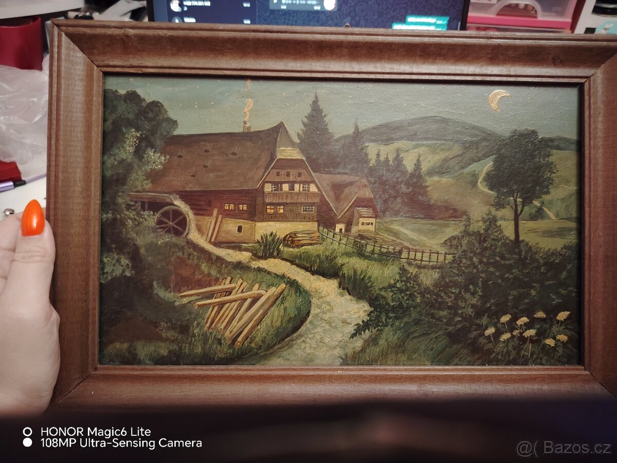 Prodám obraz - 2