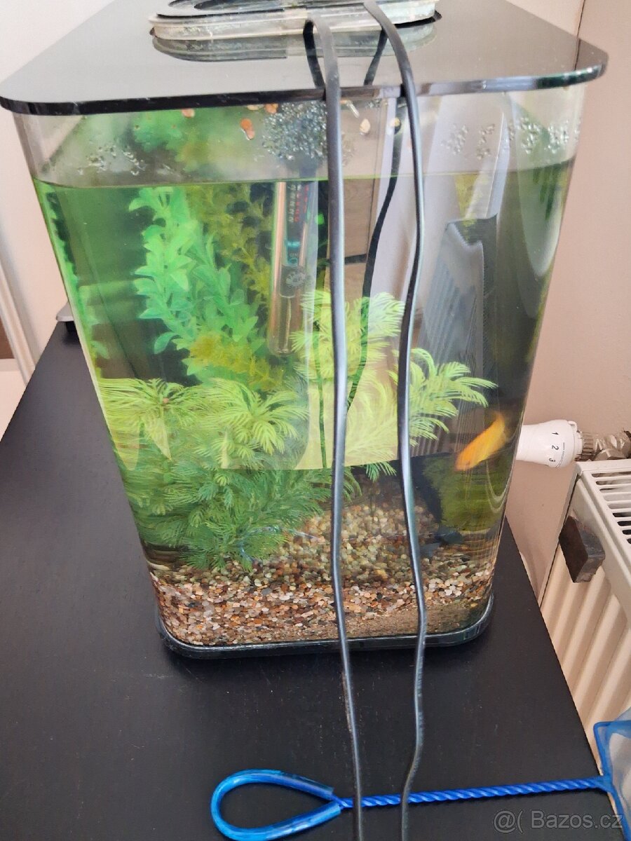Akvarium 30 litru - 2