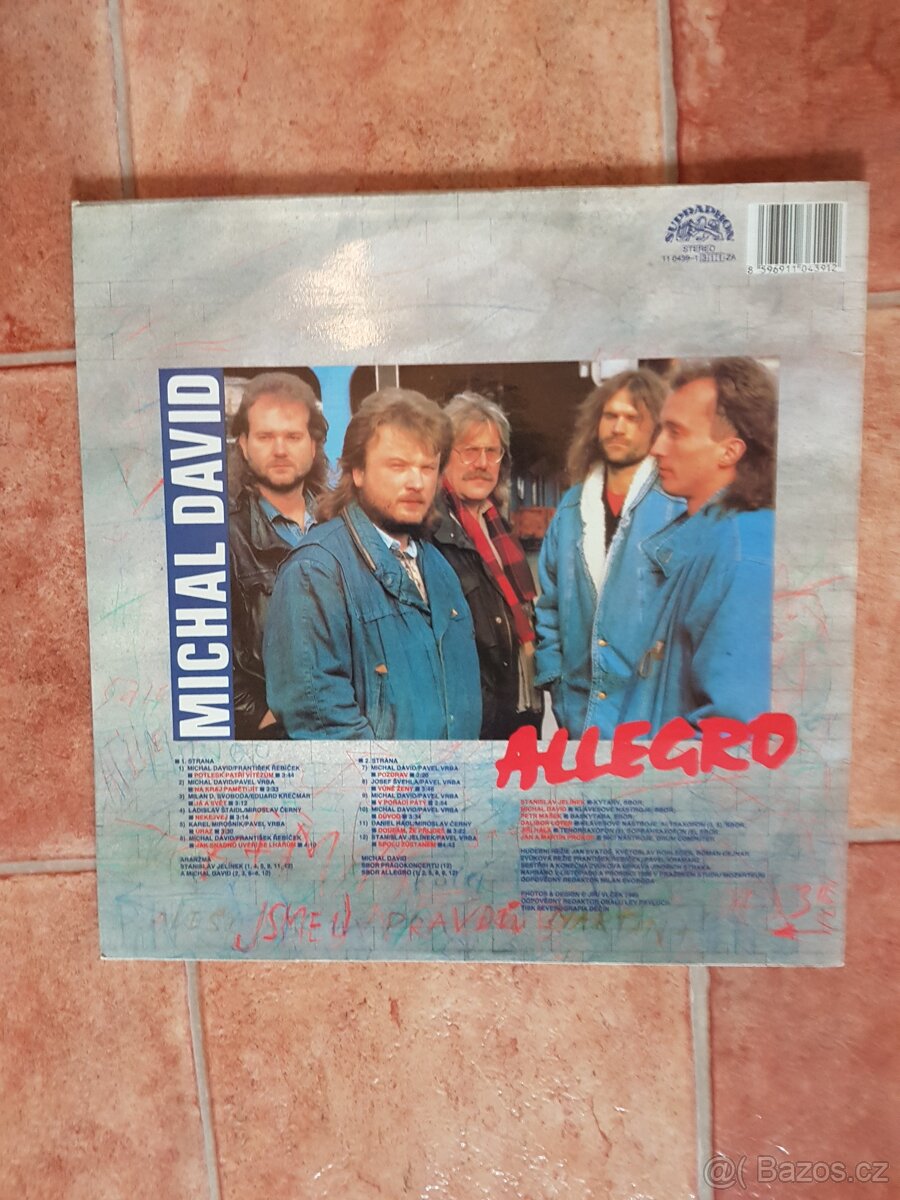 Michal David - Allegro (LP) - 2