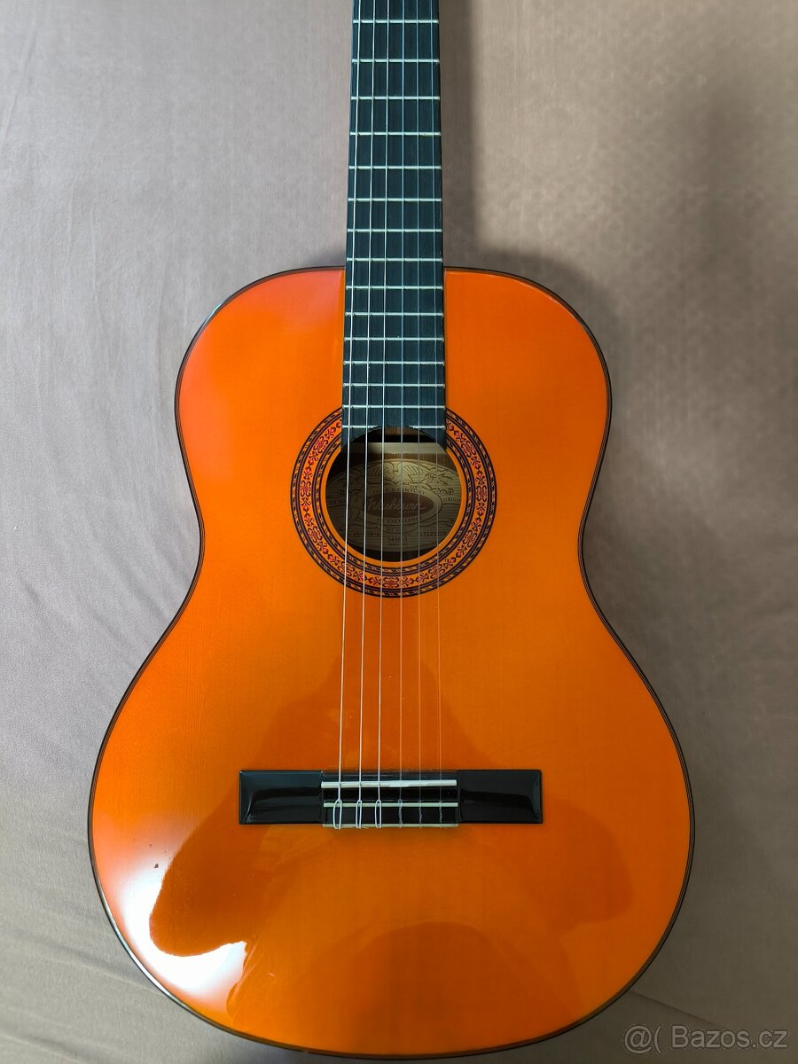 NOVÁ KYTARA WASHBURN - 2