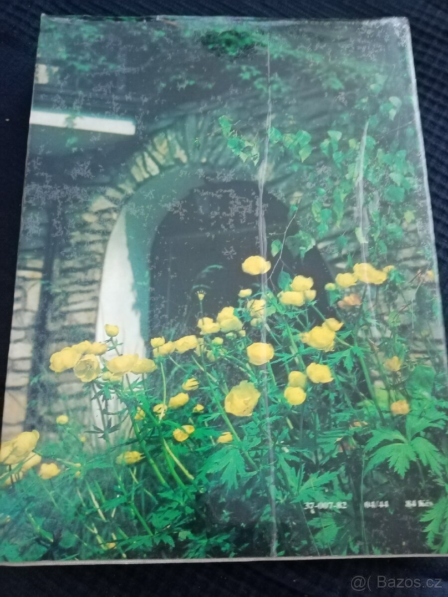 Kniha JARO V ZAHRADĚ - 2