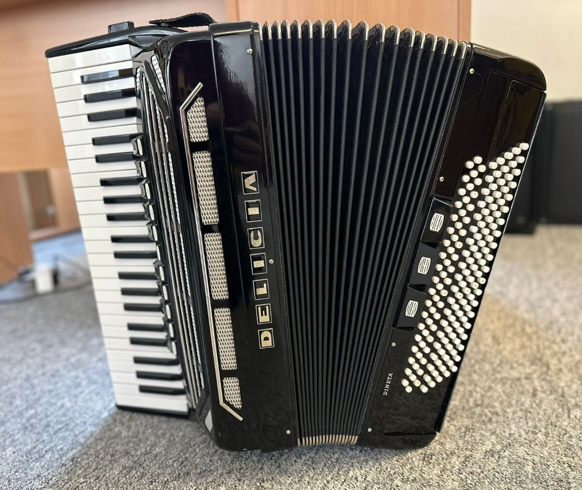 AKORDEON DELICIA DINETA - 2