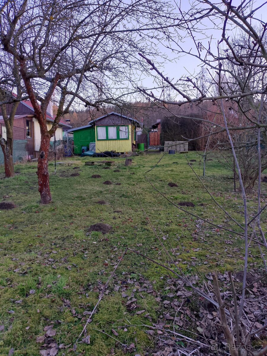 pronájem zahrádky - 2