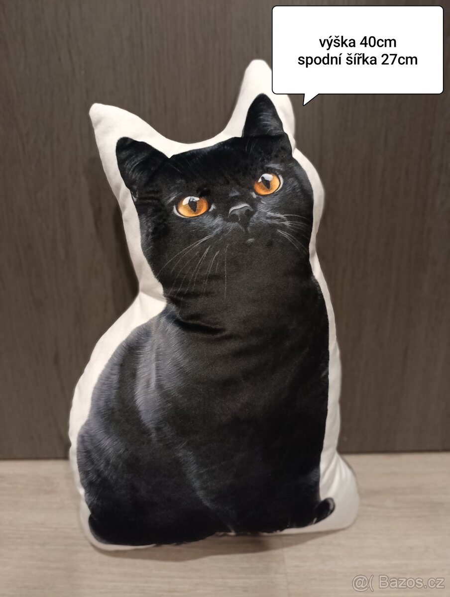 Britská kočka polštářky - 2