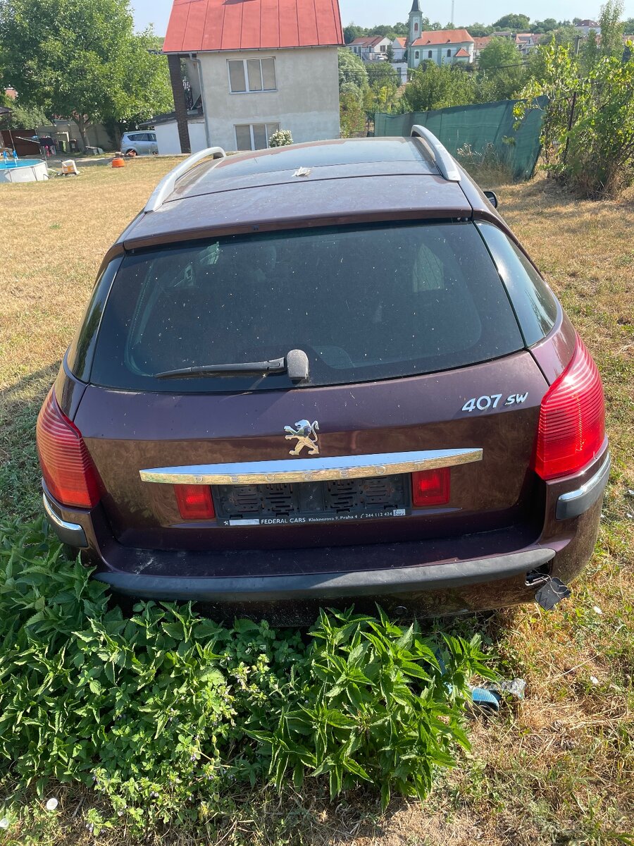 Peugeot 407 SW - 2
