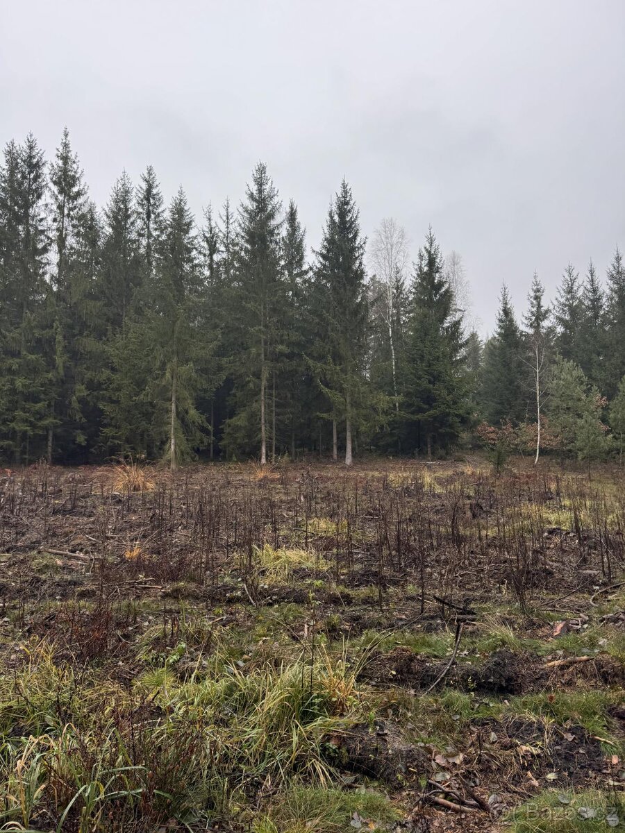 Prodám pozemky v k.ú. Veliny - 2